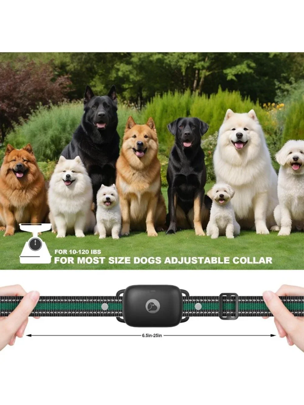 Rechargeable Dog Training Collar with Security Lock, 2600FT Range, Waterproof
